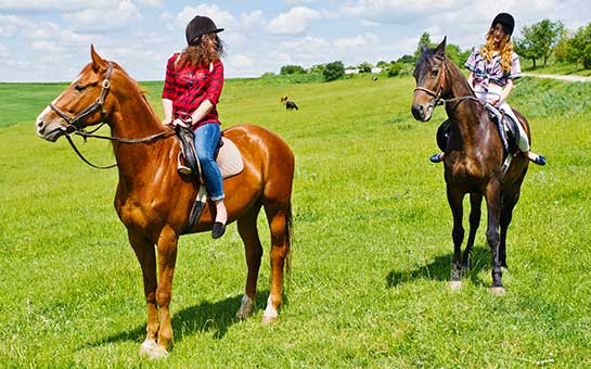 Seguro de viaje para montar a caballo