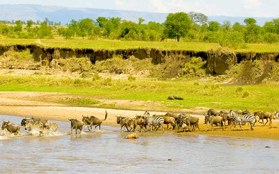 Seguro de viaje asequible para África